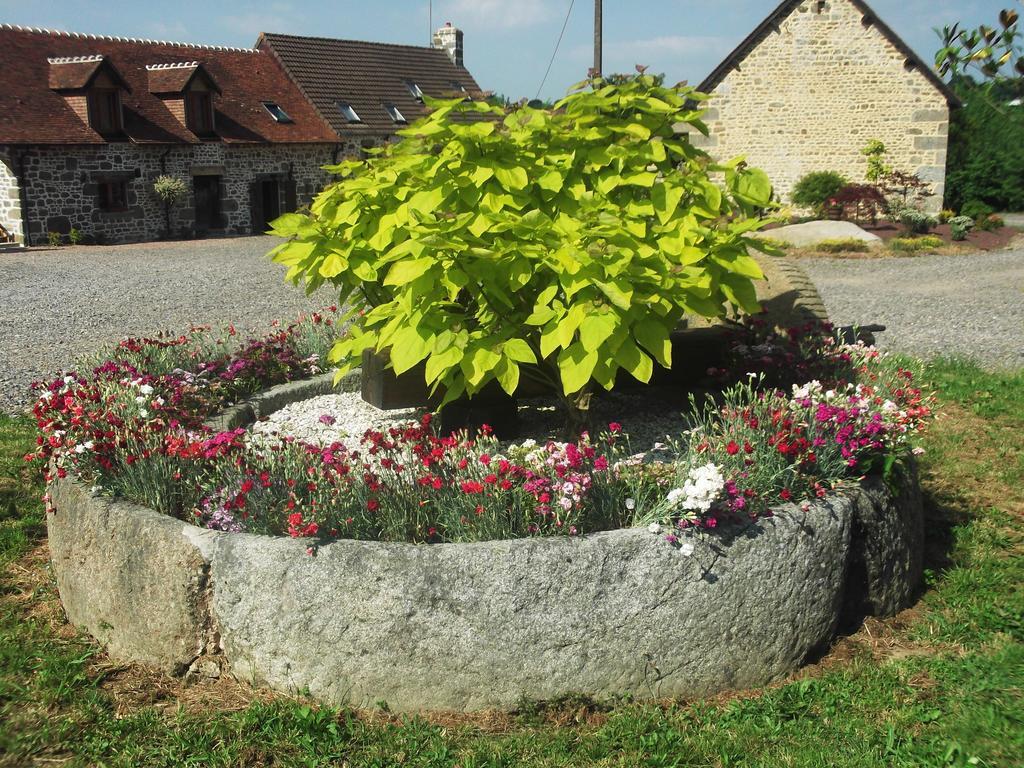 Ferme Cidricole Hugues Desfrieches Bed and Breakfast Sainte-Marguerite-de-Carrouges Værelse billede
